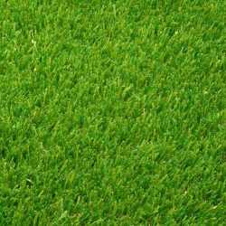 Abbeydale Artificial Grass - From Above